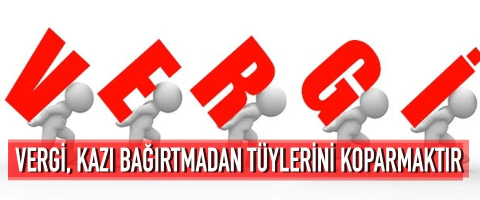 Vergi, kazı bağırtmadan tüylerini koparmaktır