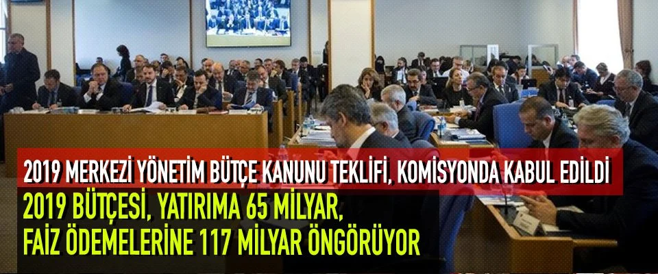 2019 Bütçesi, Yatırıma 65 Milyar, Faiz Ödemelerine 117 Milyar Öngörüyor