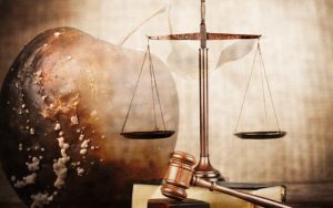 Devlette Çürüme ve Çözülmenin Nedeni