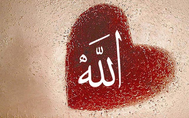 BOZUK KALBİN TEDAVİSİ VARDIR