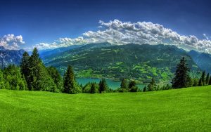 Hikmeti ve Güzel Öğüdü Terk Etmeyelim