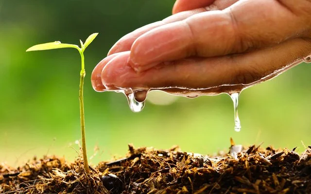 Varlık Sebebimiz İmha Değil, İhyadır