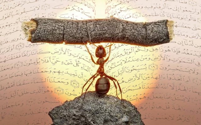 Yaratılan ve indirilen âyetleri anlamak için bir ömür yetmez