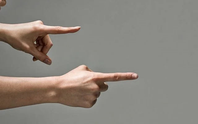 İslâm karşıtı yaşama saygı duyamayız III