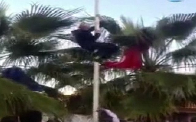 Peygamberimiz (sav) cezaî ehliyet taşımayan kişileri linçten korumuştur