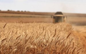 Üretim Ekonomisi Safsatası