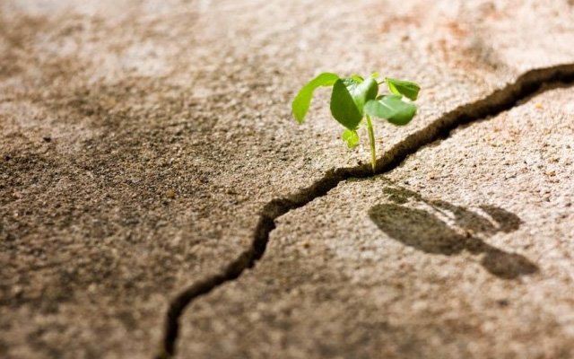 Hindistan’dan Türkiye’yi ve Toplumumuzun Misyonunu Düşünmek