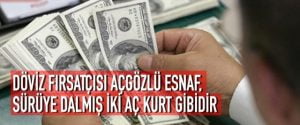 DÖVİZ FIRSATÇISI AÇGÖZLÜ ESNAF, SÜRÜYE DALMIŞ İKİ AÇ KURT GİBİDİR