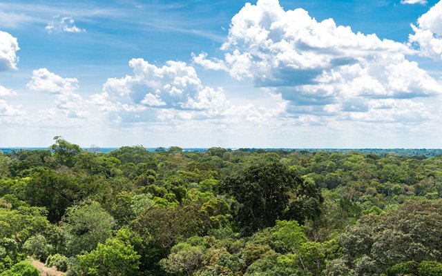 Allah Yeryüzünü Vadediyor