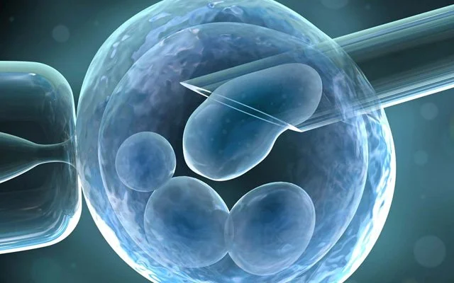 YUMURTALARI SATMAK VE TÜP BEBEK