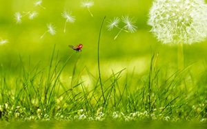 Hz.Muhammmed’in Merhamet Kaynaklı Ahlâkı