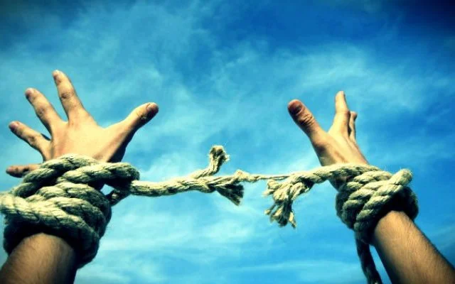 Özgürlüğe Saygı Hakka Çağrıya Engel Değildir