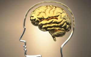 İslâm, hem rasyonel, hem de manevî aklı benimser