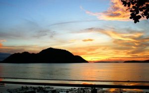 Halimiz, Günümüz ve Geleceğimiz (I)