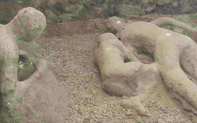 Eşcinsellik Tercihle Oluşan Bir Hastalıktır