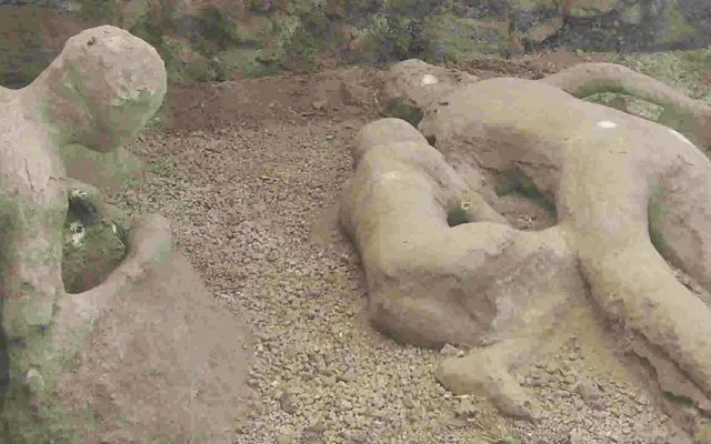 Eşcinsellik Tercihle Oluşan Bir Hastalıktır