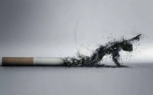 Geneleve baskında sigara cezası