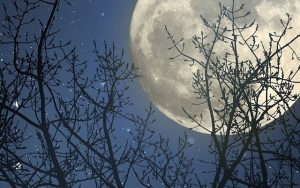 İNSANLAR MI CİNLER Mİ ÜSTÜNDÜR?