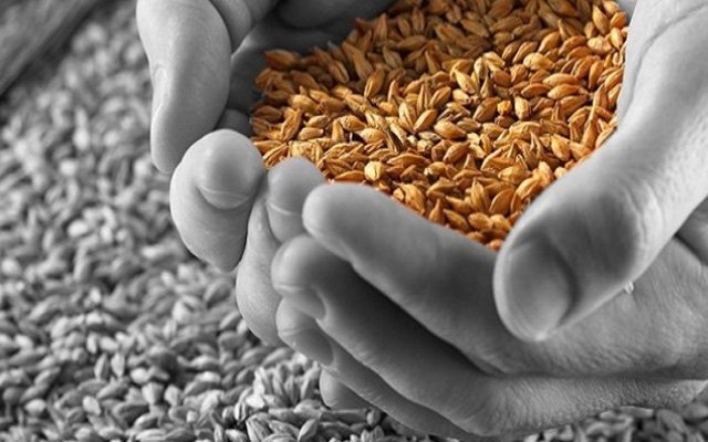 Müslümanlar Çalışıp Helal Yoldan Zengin Olmalıdır