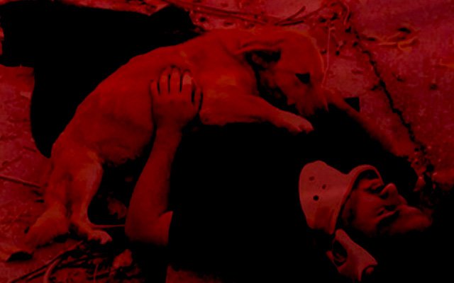 Kuran, köpeklerin beden dili ile insan davranışları arasındaki münasebete işaret eder