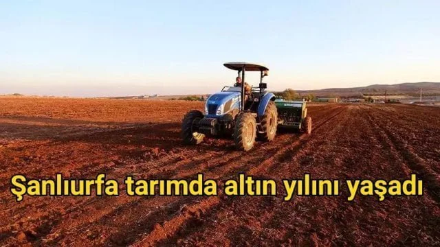 Şanlıurfa tarımda altın yılını yaşadı
