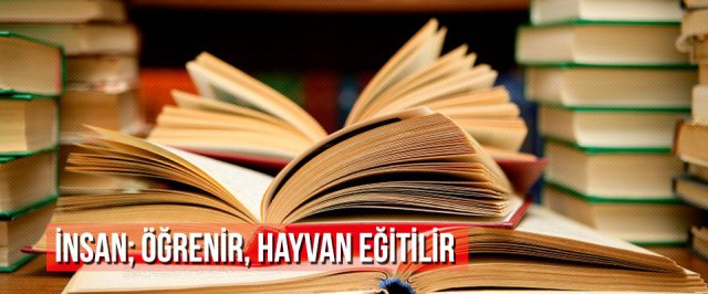 İnsan; Öğrenir, Hayvan Eğitilir