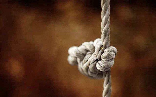 İslam Birliği Yolunun Etkenleri