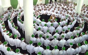 Tarîkatlar ve cemâatler bağlamında