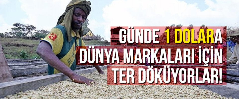 Günde 1 dolara dünya markaları için ter döküyorlar!