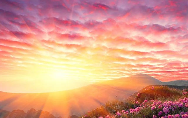 Âhirete iman dünya hayatını önemsemeyi gerektirir