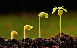 DİN, İBADET MİDİR, YOKSA AHLAK MIDIR?