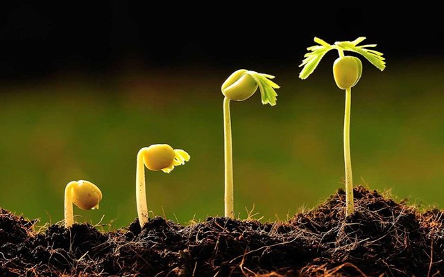 DİN, İBADET MİDİR, YOKSA AHLAK MIDIR?