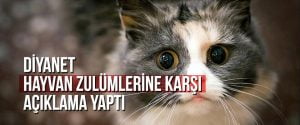 Diyanet hayvan zulümlerine karşı açıklama yaptı
