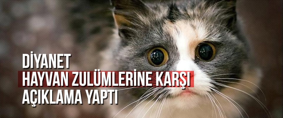 Diyanet hayvan zulümlerine karşı açıklama yaptı