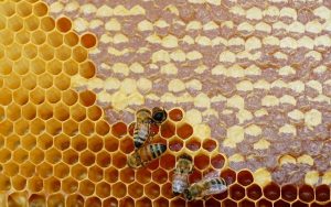 Kadere imanın şartı, “Mizan”ı korumaktır.