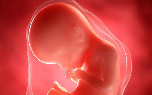 EŞCİNSELLİĞİN DOĞUŞTANLIK İDDİASI KÂFİRLİKTİR 8