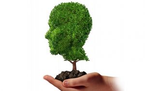 Yeni Türkiye’nin İhtiyaçları 1: Dirayetli ve Kaliteli İnsan Eksikliği