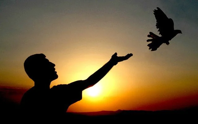 ‘İslâm Barış Çağrısıdır’