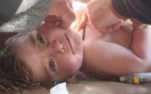 BM: Esed Rejimi Savaş Suçu İşledi