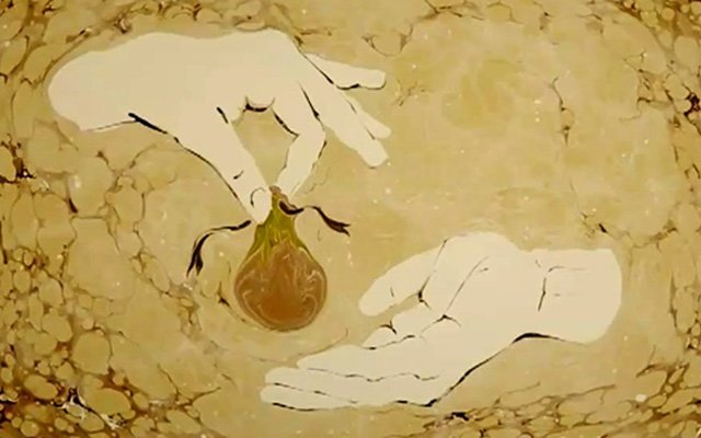 Zekât ve Sadakalar Konusunda Çok Önemli Birkaç Not