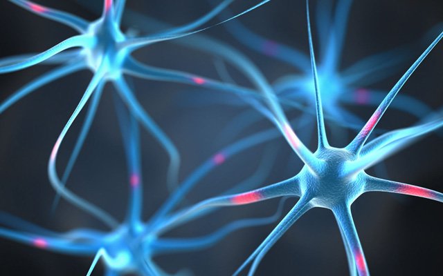 Biyo-teknoloji Ve İnsanın Uzaktan Yönetileceği İddiaları