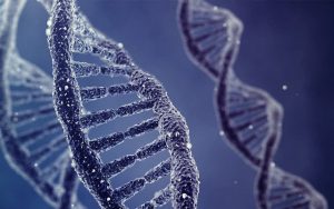 Babalarını arayan kız ve erkek kardeş çıktı