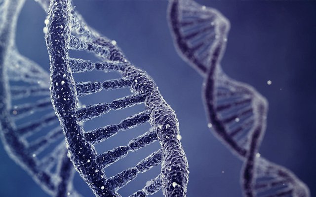 Babalarını arayan kız ve erkek kardeş çıktı