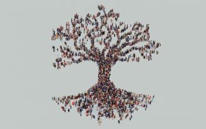 Birbirimize Güvenmemenin Toplumsal Bedeli