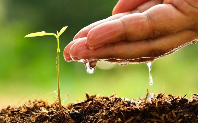 Hicret yeni ruh ve yeni dirilişin tohumlarını atmak – I