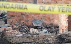 Beş kişiden oluşan aileyi öldüren ardından yakan koyun hırsızlarına 5’er kez ağırlaştırılmış ömür boyu hapis