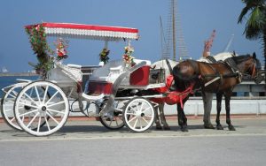 Yapamayacaklarını insana da hayvana da yüklememeli