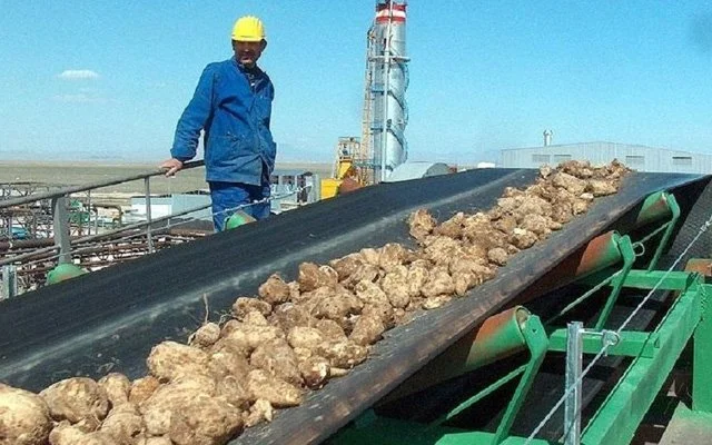 Türkiye’de Ziraatin Bittiğinin Delili: Şeker Fabrikaları