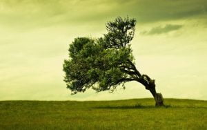 Peygamberimizin Merhamet Kaynaklı Yaşamı ve Tevazuu