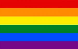 AB’ye Girmek İstemek Eşcinselliğe Onay Vermektir | 2